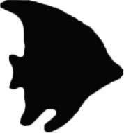 Penta collection Formalyukasztó 25 mm, Hal