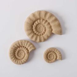 Penta collection Hőre lágyuló fa Kagyló szett 6, 5 x 5, 5 cm 3 db/csomag
