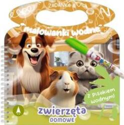Wioleta Żyłowska Zadanka & malowanki wodne. Zwierzęta domowe