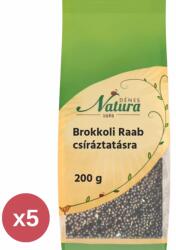Dénes-Natura Brokkoli raab csíráztatásra 5X200 g