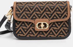 Aldo kézitáska LANDENDERIEL - barna Univerzális méret