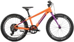 R RAYMON Yanga 20 (2025) Bicicleta