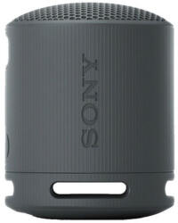 Sony SRS-XB100B