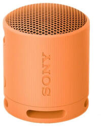 Sony SRS-XB100D