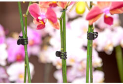 Nature Orchidea rögzítő fekete 10db-os szett