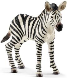 Schleich Figurina Schleich Wild Life - Pui de zebra (14811-02079) Figurina