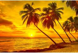 MÉDIA Öntapadó és mosható falfestmény Pálmafák naplementekor, 250 x 200 cm (FOTOTAP9345)