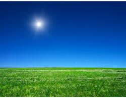 MÉDIA Öntapadó és mosható fali tapéta Natura102, 250 x 200 cm (FOTOTAP9257)