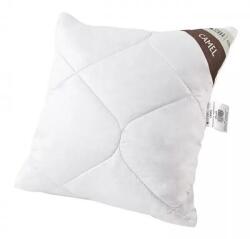 Senna Home Párna INTER-WIDEX 40x40cm (SHCAMPCC40x40B250gTN)