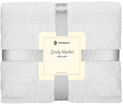 SPRINGOS Bolyhos takaró, puha, meleg, 2 személyes, 170 x 210 cm, Világosszürke (HA-7111-4542)