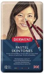Derwent Pasztell ceruza készlet 12db-os Derwent arctónusok (2300563)