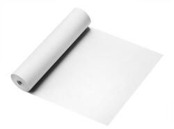  216x30x12mm BPA mentes 48gsm faxpapír (5998437352630) - tintasziget