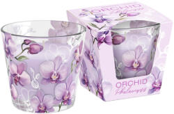 Bartek Candles illatgyertya üvegpohárban - Orchid Phalaenopsis