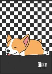 St. Majewski St. Right A4-es kockás füzet 32 lapos - kétféle (692734)