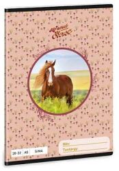 Ars Una A5-ös sima füzet - My Sweet Horse (53613585)