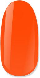NiiZA Gel Polish 4ml - 252 - gellakk