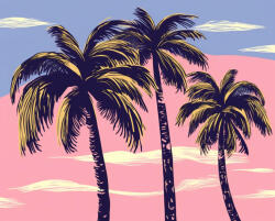 Alkotásutca Szellő a trópusokon - Számfestő készlet kereten 40x50