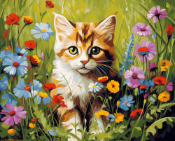 Alkotásutca Botanikus macska - Számfestő készlet kereten 40x50