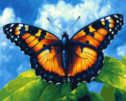 Alkotásutca Merész szépség - Számfestő készlet kereten 40x50