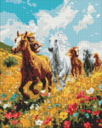 Ideyka Set goblen cu diamantre, cu sasiu, Armonie pe camp, 40x50 cm (AMO8017)