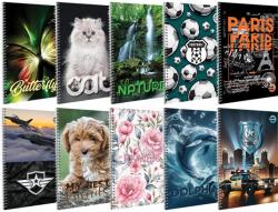 T-Creativ Spirálfüzet négyzetrácsos A/5 70 lapos T-Creativ vegyes mintákkal (A15062027)