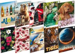 T-Creativ 81-32 vonalas füzet A/4 T-Creativ vegyes mintákkal (A16011081)