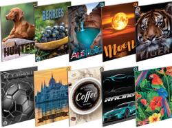 T-Creativ 80-60 sima füzet A/4 T-Creativ vegyes mintákkal (A16014080)