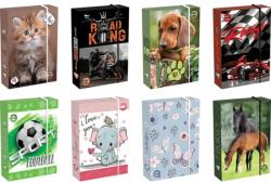 T-Creativ Füzetbox T-Creativ A/5 vegyes mintával (D030040A5)