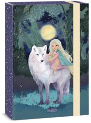 Ars Una A/4 füzetbox Ars Una Northern Lights (50855278)