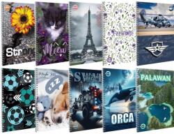 T-Creativ Spirálfüzet sima A/5 70 lapos T-Creativ vegyes mintákkal (A15062020)