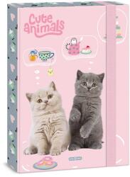 Ars Una A/4 füzetbox Ars Una Cute animals-tea party (50855322)