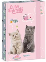 Ars Una A/5 füzetbox cicás mintával Ars Una Cute animals-tea party (50865321)