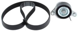Bosch Set curea transmisie cu caneluri BOSCH 1 987 600 729 (1 987 600 729) - automobilus