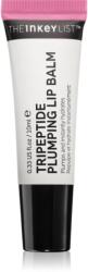 The Inkey List Tripeptide Plumping Lip Balm balsam de buze cu efect de crestere culoare Pink 10 ml