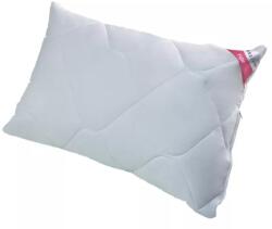 Inter-widex Állítható párna 40x60 FUN Senna Home (SHFPCC40x60B400g)