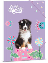 Ars Una Cute animals- Aussie A/4 gumis dosszié (50215287) - kvikki