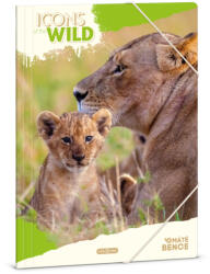 Ars Una Máté Bence Icons of the Wild-Lions A/4 gumis dosszié (50215041) - kvikki