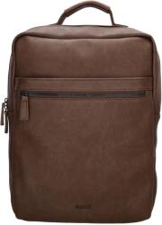 Beagles Toledo 21673 Brown