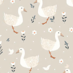 Takoy Téli softshell libák bézs