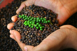  Vellamundi" Malabar fekete bors 20 g/csomag