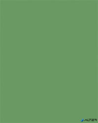 FOLIA Dekorkarton, 2 oldalas, 50x70cm, 220 g, 10 lap, FOLIA, mohazöld (6122/10 53) - alter