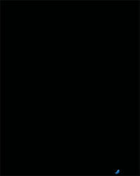 FOLIA Dekorkarton, 2 oldalas, 50x70cm, 220 g, 10 lap, FOLIA, fekete (6122/10 90) - alter