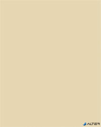 FOLIA Dekorkarton, 2 oldalas, 50x70cm, 220 g, 10 lap, FOLIA, bézs (6122/10 10) - alter