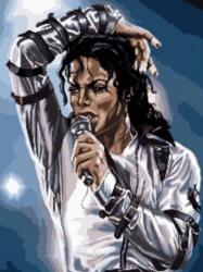 NORIMPEX - Puzzle Tablou Diamant: King of Pop concert 30x40cm - 1 - 39 piese