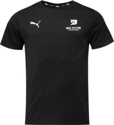 PUMA Teamgoal 23 Casuals Tee (65861503-kvispce)