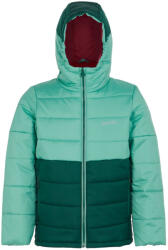 Regatta Lofthouse VIII gyerek dzseki Gyerek 153-158 / zöld