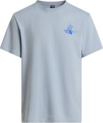 The North Face M Mountain Celebration Regular Short Sleeve Tee-Graphic férfi póló XL / szürke/kék