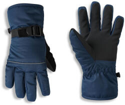 Dare 2b Glacier Glove gyerek kesztyű Kesztyűe: 4-5 / kék