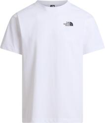 The North Face M North Faces Regular Short Sleeve Tee-Graphic férfi póló M / fehér