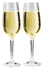 GSI Outdoors Nesting Champagne Flute Set pohár